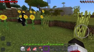 Играю в Craftsman