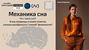 Анна Хоружая. Механика сна