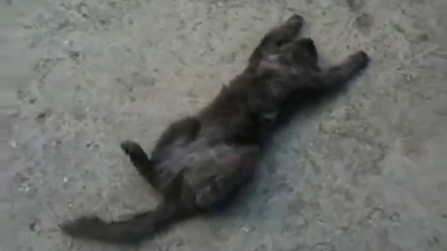 Я счастливый как никто! смотреть онлайн