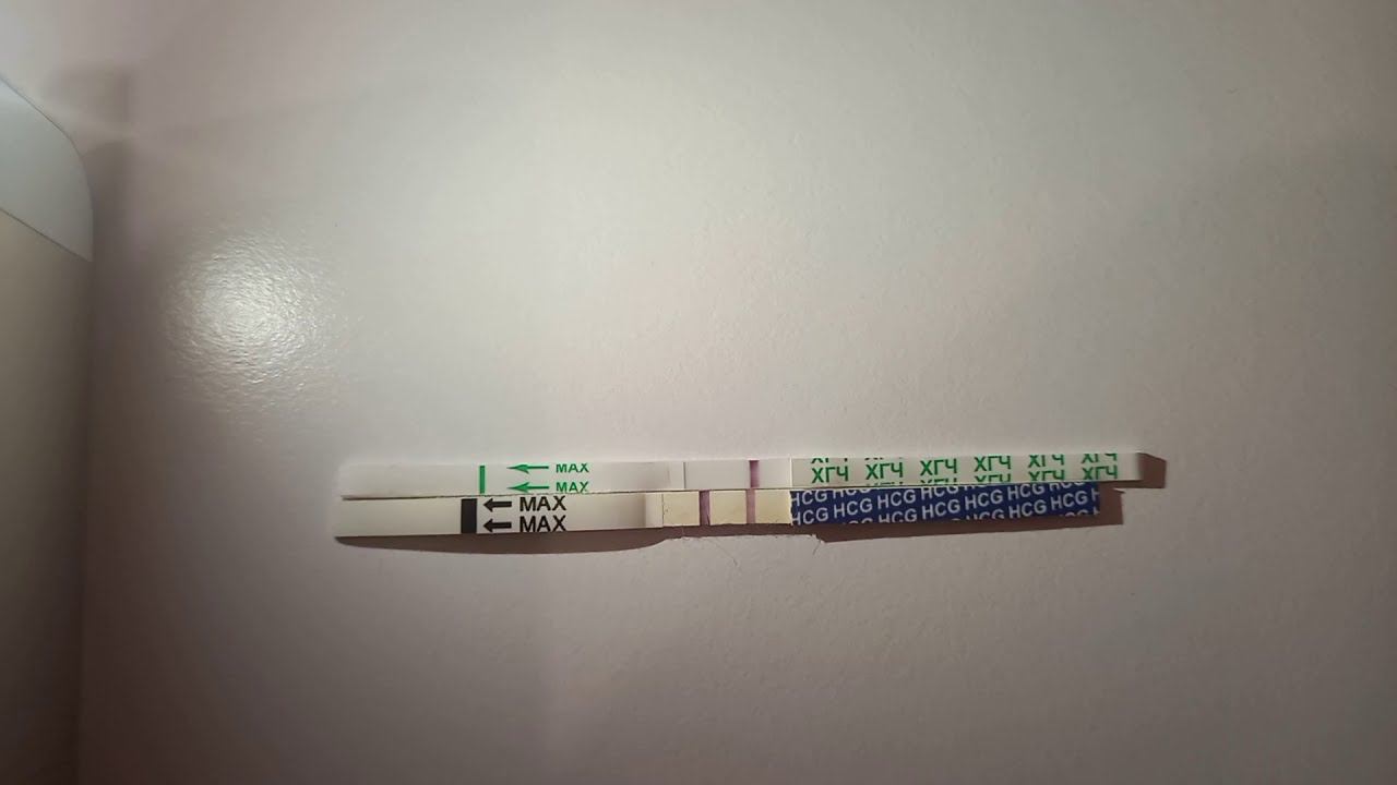 Тест на беременность задержка. Положительные тесты на беременность на ранних сроках. Может ли тест на беременность показать отрицательный. Отрицательный тест на беременность за 2 дня до месячных. Тест на беременность положительный и отрицательный.