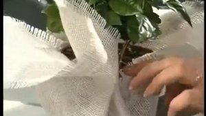 Декор горшка для цветов тканью