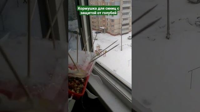 Зимняя #Кормушка для синиц с защитой от голубей "антиголубь". Кормим птиц зимой