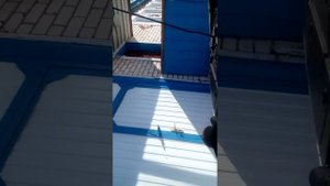 Шевроле круз двигатель шумит