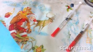 Выпуск #11 - СТАВИМ УКОЛЫ СРЕДНЕАЗИАТСКОЙ СУХОПУТНОЙ ЧЕРЕПАХЕ