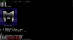 TLS Heartbleed Revisited /DEMO