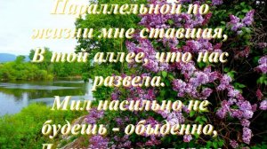 Запах плыл по аллее сиреневый...