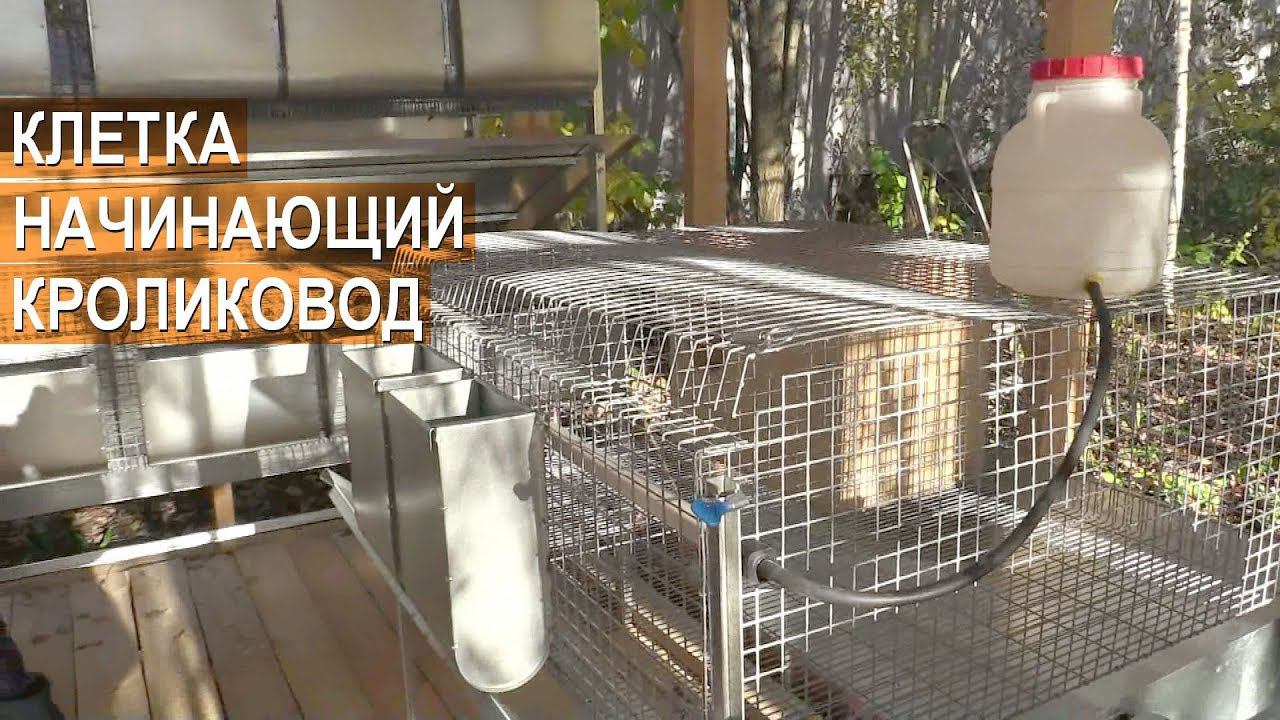 Начинающий кроликовод. Клетка для кроликов Юрия Удалова