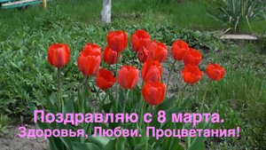 8 марта. Малахов.