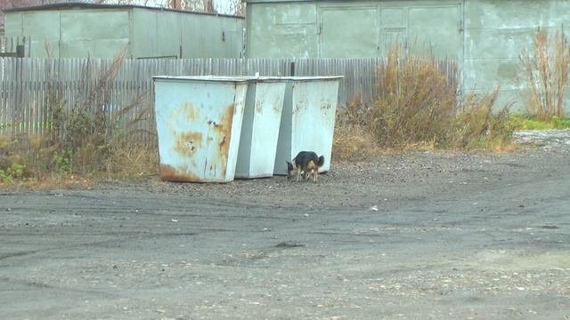 В Шипуновских дворах строят площадки для мусорный контейнеров