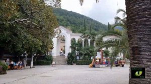 Абхазия Гагра 2019 Колоннада Животные Солнце Море Гром молния Волны Светлана ВЕДА