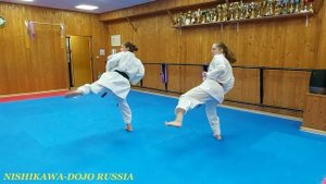 Вадо каратэ ката Нисейси тренировка /Wado  karate training kata Niseishi