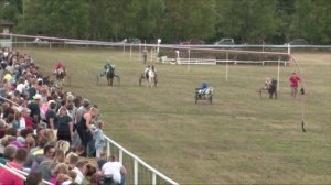 Slovak Mini Trotter Cup 2017 - Cena PD Senica