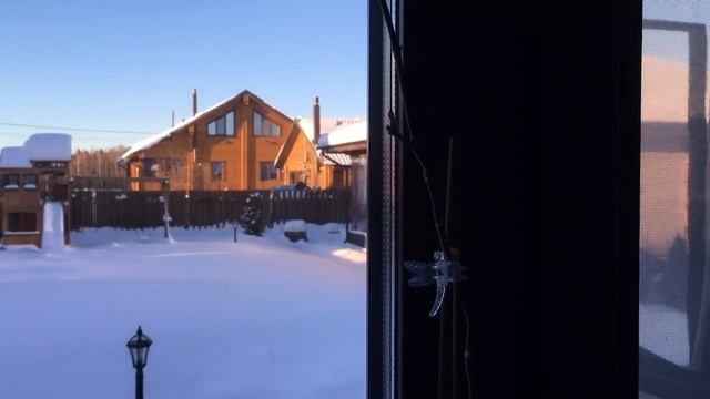 Мои Орхидеи на даче в январе часть3. смотреть онлайн