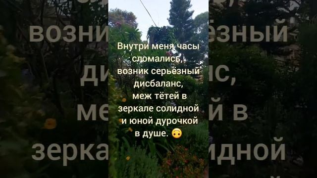 стишки пирожки