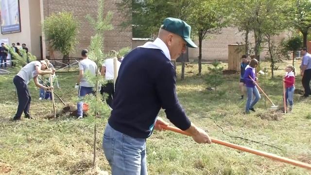 Лес победы смотреть онлайн