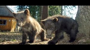 А вы знаете ПОЛНУЮ версию "Мишка косолапый'' ?