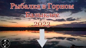 Рыбалка с палатками в Волгограде (Горный Балыклей) на Волге 2023. Открытие сезона! Судак так и прет.