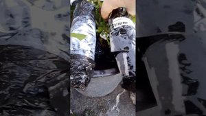 как сохранить черенки роз до посадки