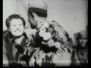 Летят перелётные птицы