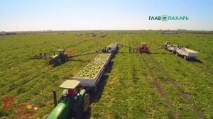 Транспортер для уборки дынь и арбузов Spapperi