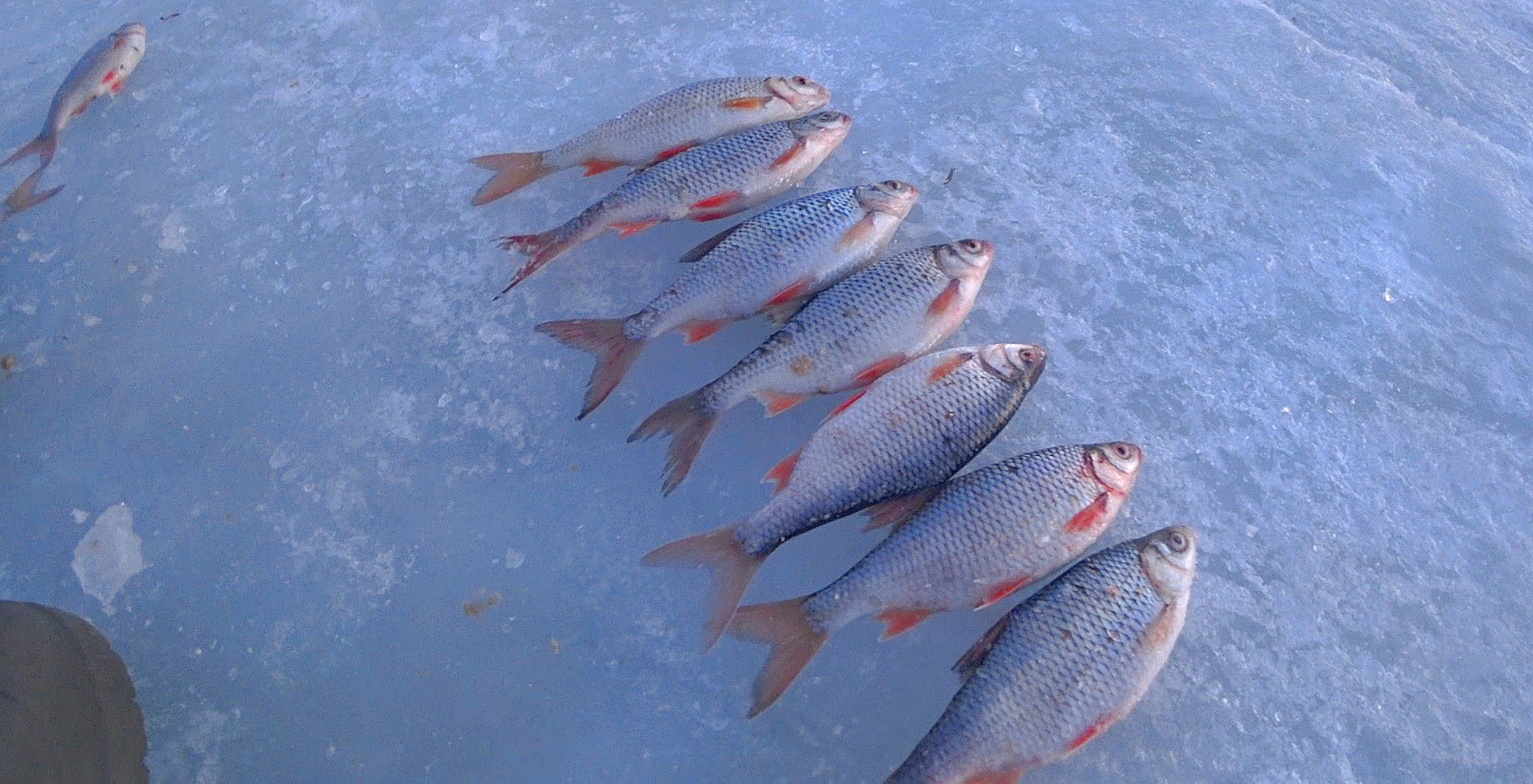 Крупняк. Рыбалка в конце Марта. Последний Лед. .