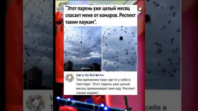 МЕМ ИЗ ТИК ТОКА