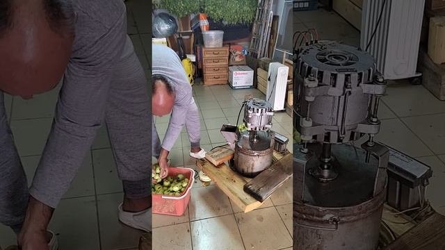Измельчитель фруктов в работе.