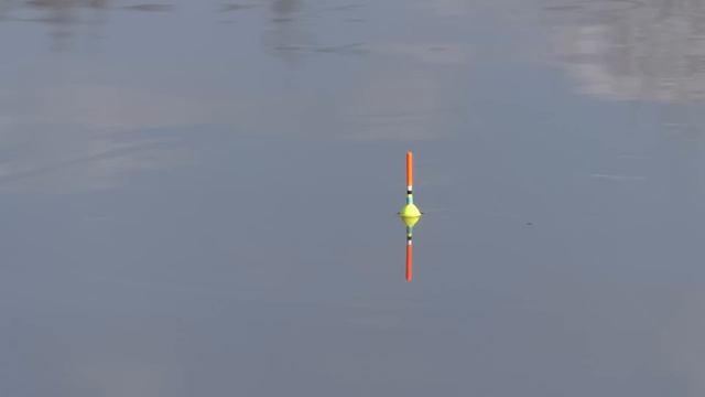 Обстановка на 23 марта, прогулка,рыбалка по высокой воде (попытка №2 )