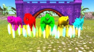 wild animals finger family song for kids,Nursery Rhymes,children,toddlers,dinosaur,lion,NASH TOON T