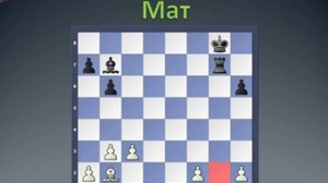 Шах и мат.  Пат в шахматах