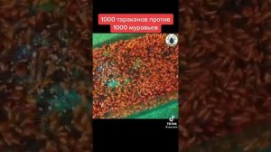 1000 тараканов против 1000 муравьев что будет? смотри