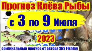 Прогноз клева рыбы с 3 по 9 Июля Календарь клева рыбы Лунный календарь рыбака