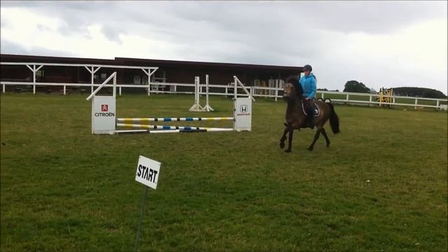 Johanna Hougaard & Enghøjs Rebel Joy:-) смотреть онлайн