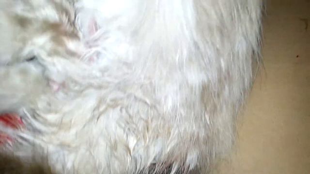 Чудо природы. ...4. по очереди смотреть онлайн