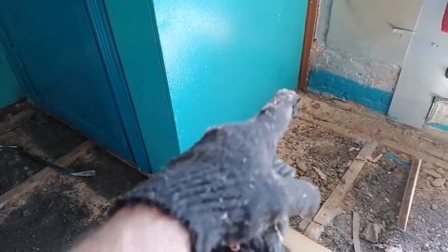 Замена полов своими руками.Замена обрешетки.Стелим новый пол. смотреть онлайн