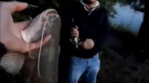 Рыбалка на Сома- на реке Сура-сом на 3 кг