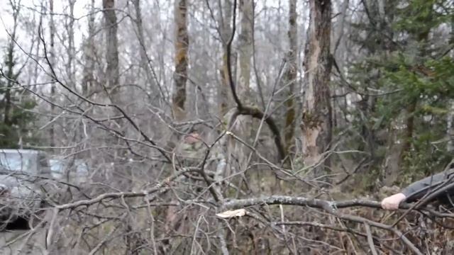 День автомобилиста 2015.mp4 смотреть онлайн