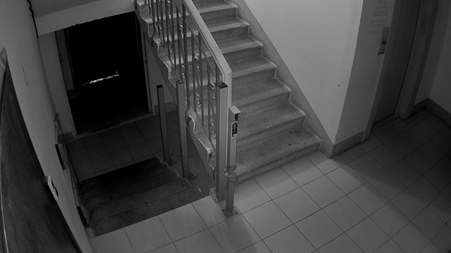 Пример видео с камеры Reolink RLC-410-5MP смотреть онлайн