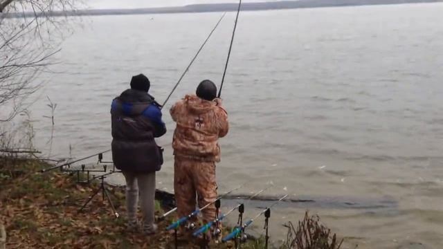 Нововоронеж охладитель, сазан 2750