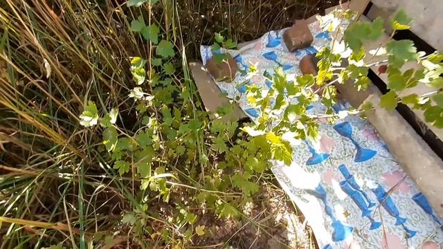 Компостник из поддонов женскими руками. 2022 год.