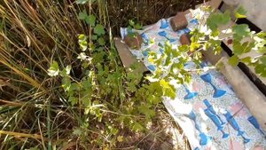 Компостник из поддонов женскими руками. 2022 год.