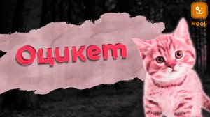 Оцикет кошки: Прекрасные представители кошачьего мира