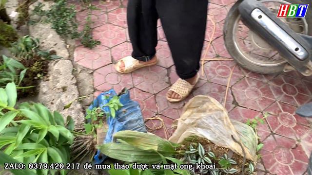 BẢN SẮC CHỢ PHIÊN TÂY BẮC - BẮC HÀ LÀO CAI / CHỈ MUỐN ĐI KHÔNG MUỐN VỀ CÙNG HẢI BẢO THẮNG смотреть онлайн