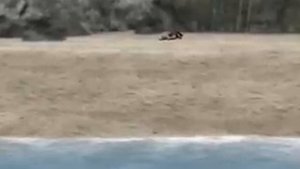 "Агата Кристи: Зло под солнцем"