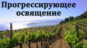 "Прогрессирующее освящение". Е. Г. Ефремов. МСЦ ЕХБ