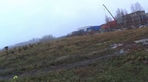 Кладбище домашних животных