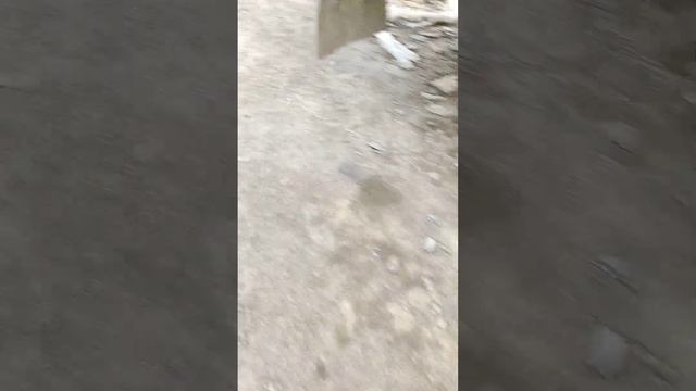 02.05.2023 подготовили пиленый Златолит Уральский https://plitnyak-kamen.ru смотреть онлайн