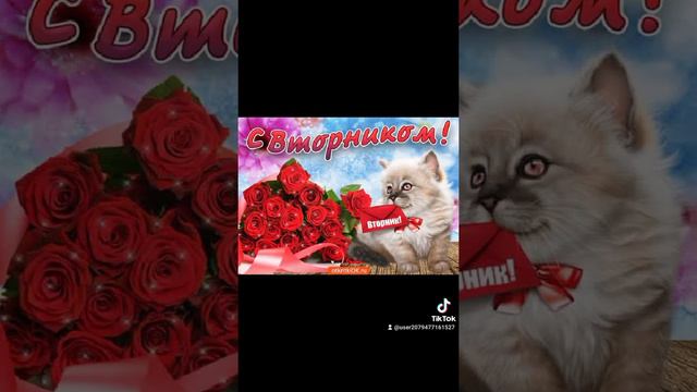 ТИК ТОКА смотреть онлайн