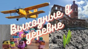 Выходные в деревне 1.22 Армия Александра, Лебеди, Кукурузник над головой, Церковь, Чеснок, Цыплята