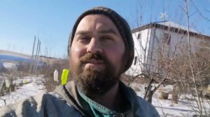 Зима, куриные дела, агростраж, гуси и утки с индюками